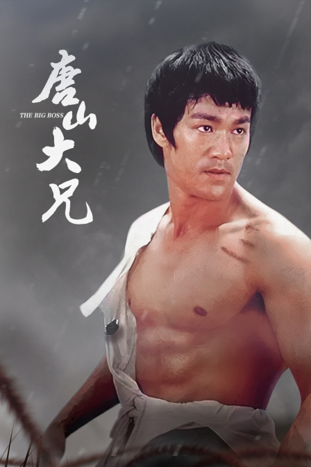 唐山大兄封面图