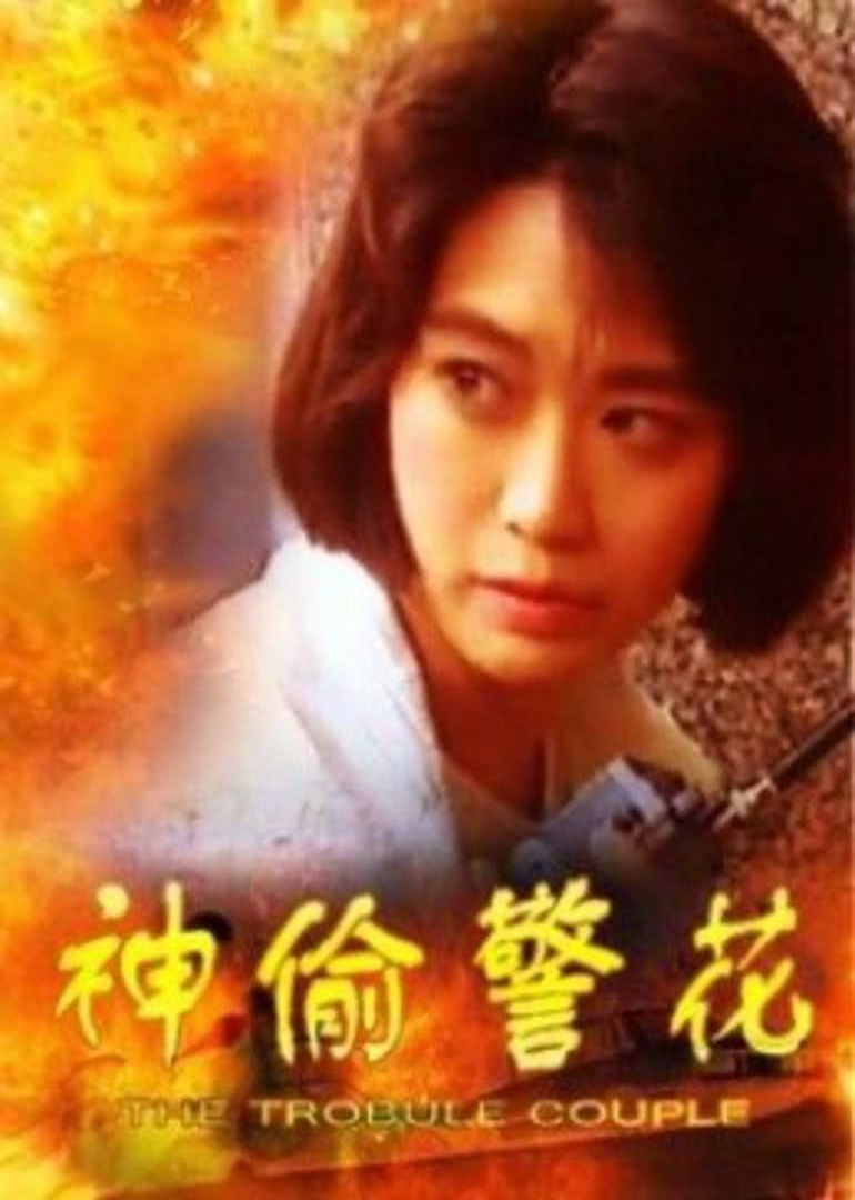 神偷警花封面图