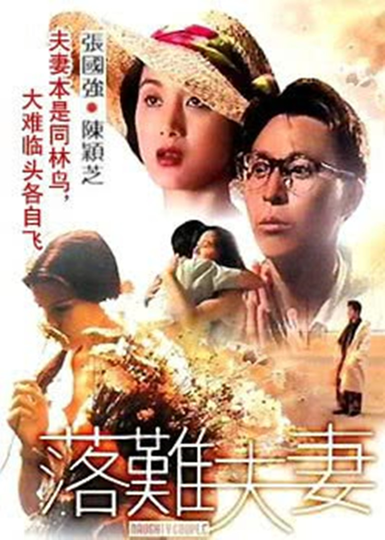 落难夫妻封面图