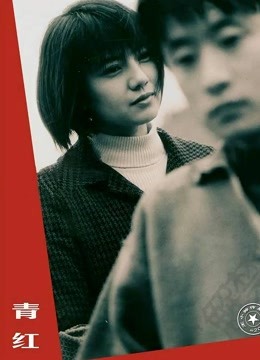 青红封面图