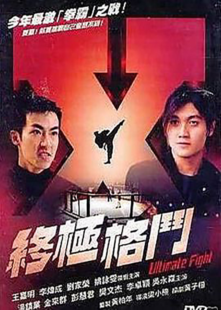 终极格斗封面图