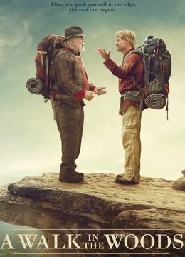 林中漫步封面图