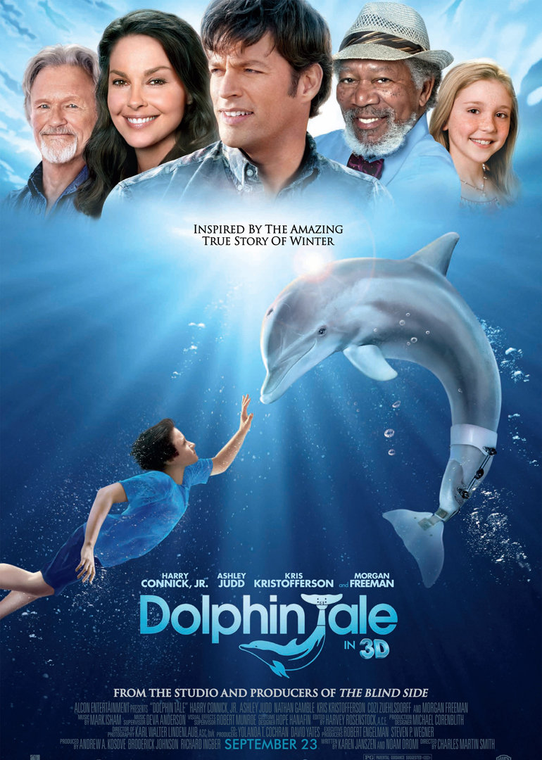 海豚的故事封面图