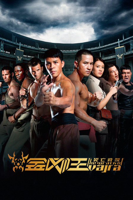 金刚王：死亡救赎封面图