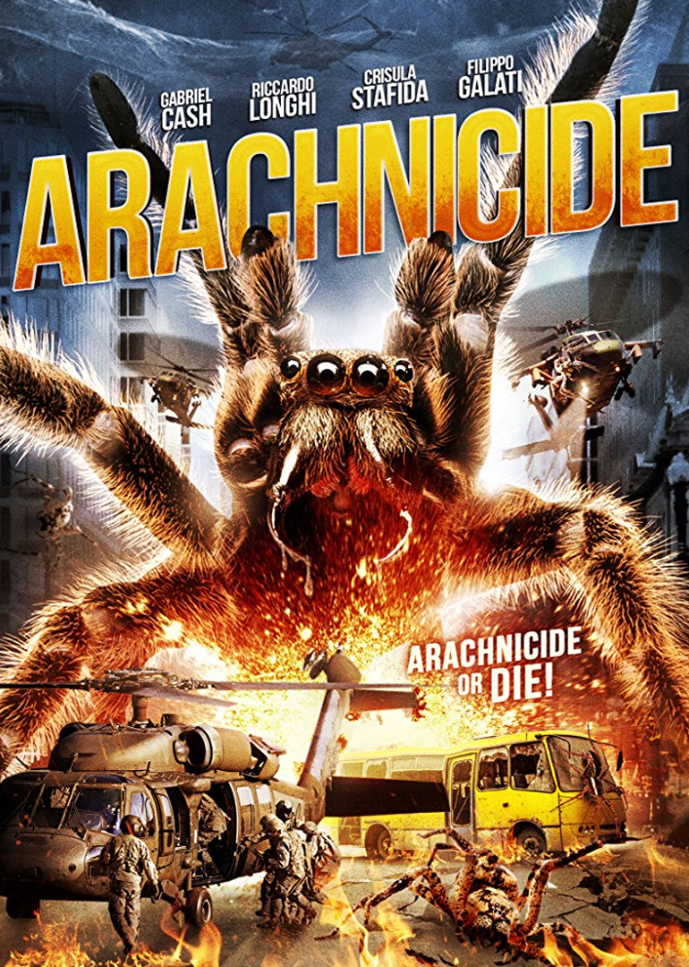 狙击蜘蛛巢封面图