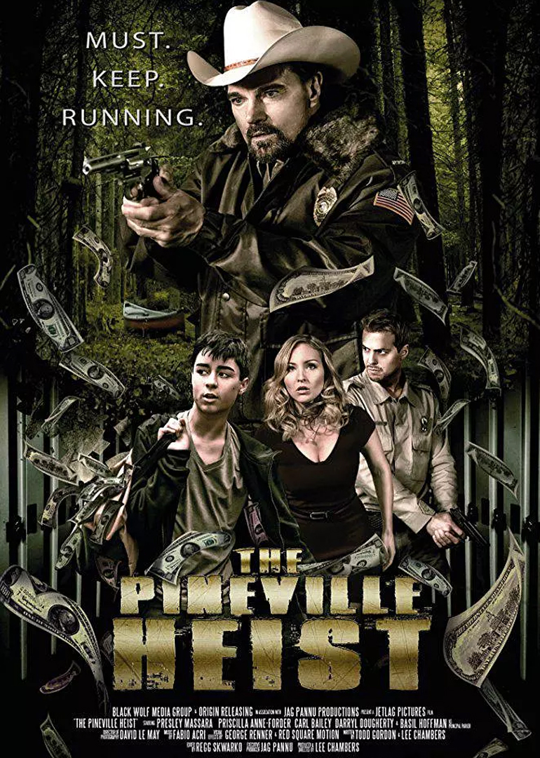 派恩维尔抢劫案封面图