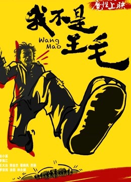 我不是王毛封面图