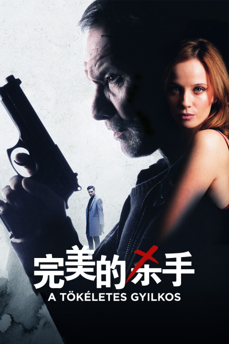 完美的杀手封面图