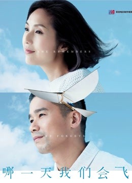 哪一天我们会飞封面图