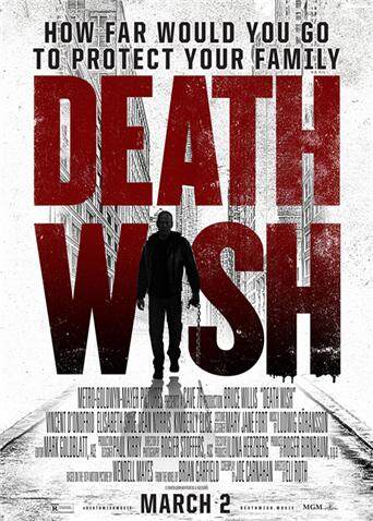 虎胆追凶封面图