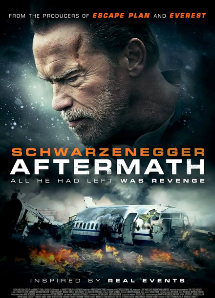 空难余波封面图