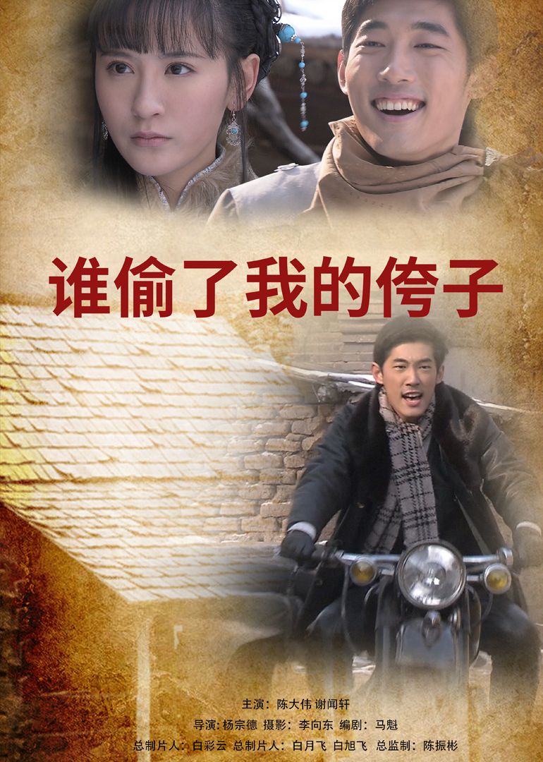 谁偷了我的侉子封面图