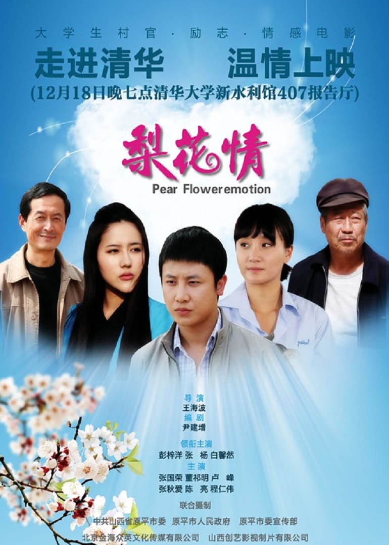 梨花情封面图