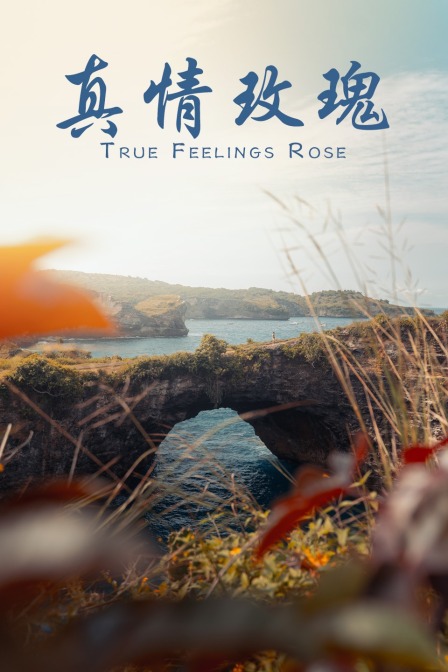 真情玫瑰封面图
