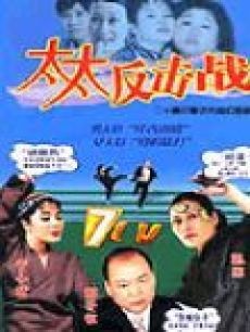 太太反击战封面图