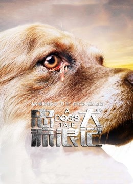 忠犬流浪记封面图
