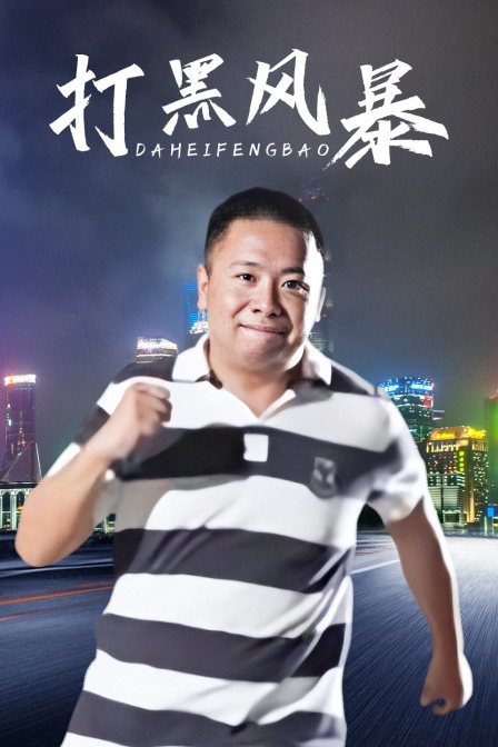 打黑风暴封面图