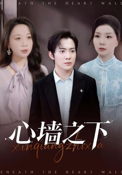 心墙之下封面图