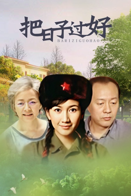 把日子过好封面图