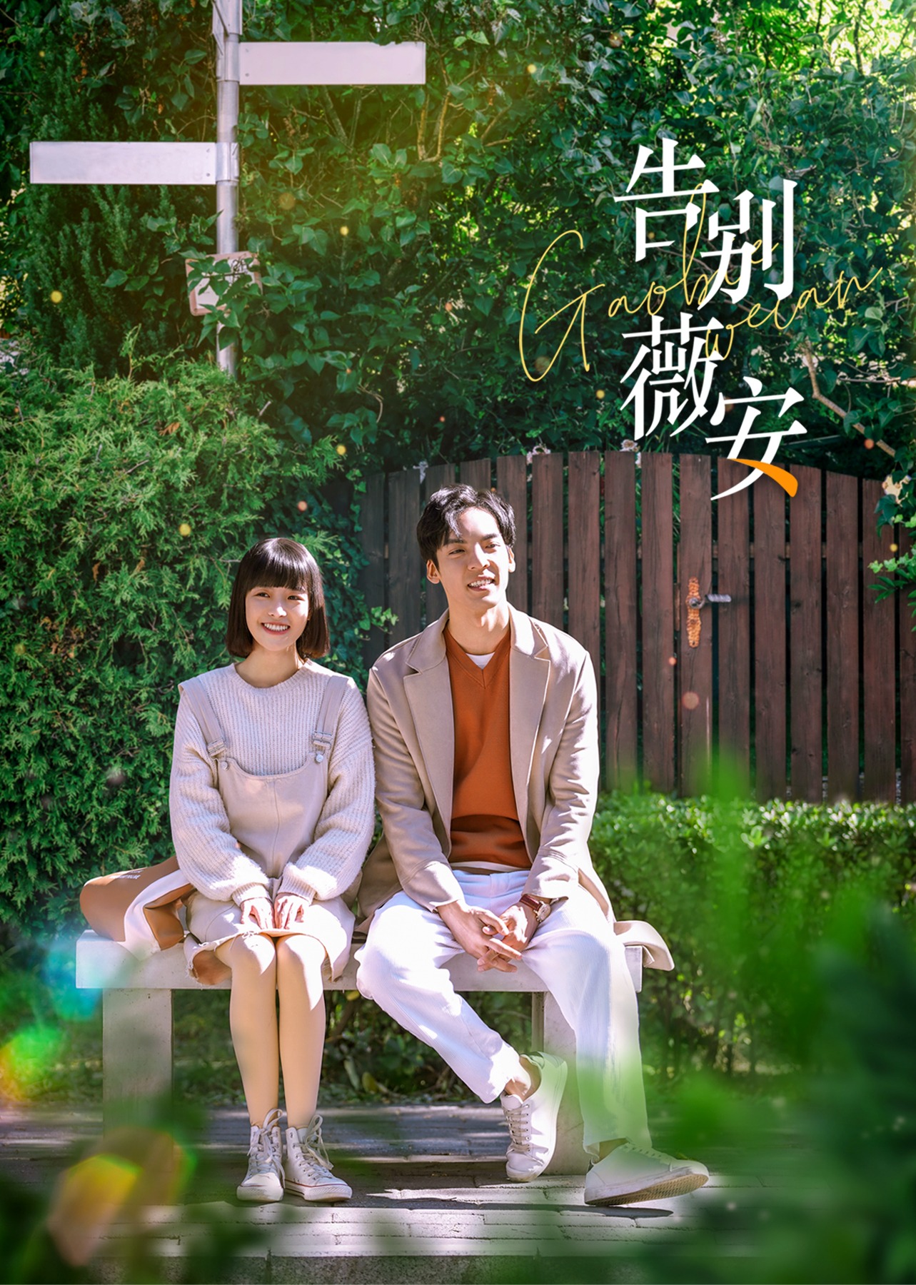 告别薇安封面图