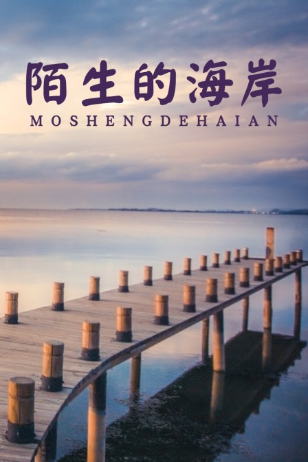 陌生的海岸封面图