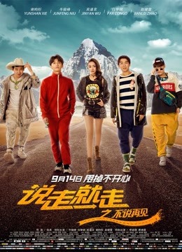 说走就走之不说再见封面图