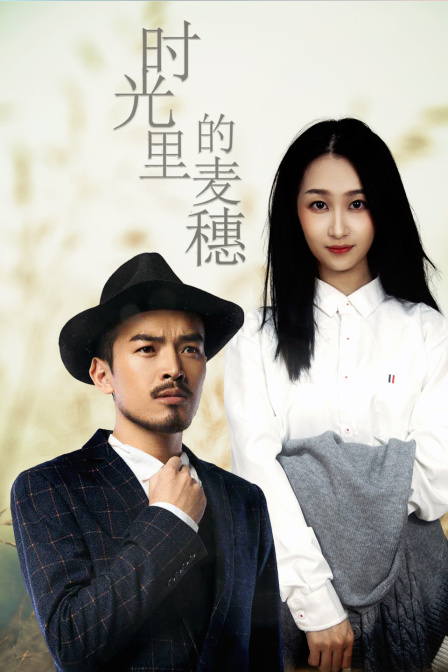 时光里的麦穗封面图