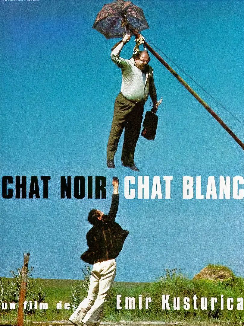 黑猫白猫封面图