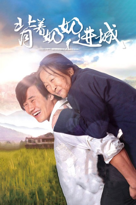 背着奶奶进城封面图