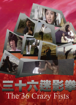 三十六迷形拳封面图