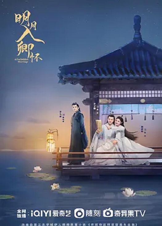 明月入卿怀封面图