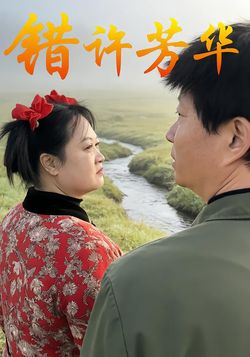 错许芳华封面图