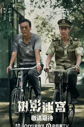 树影迷宫封面图