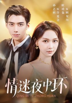 情迷夜中环封面图