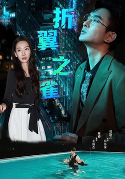 折翼之雀封面图