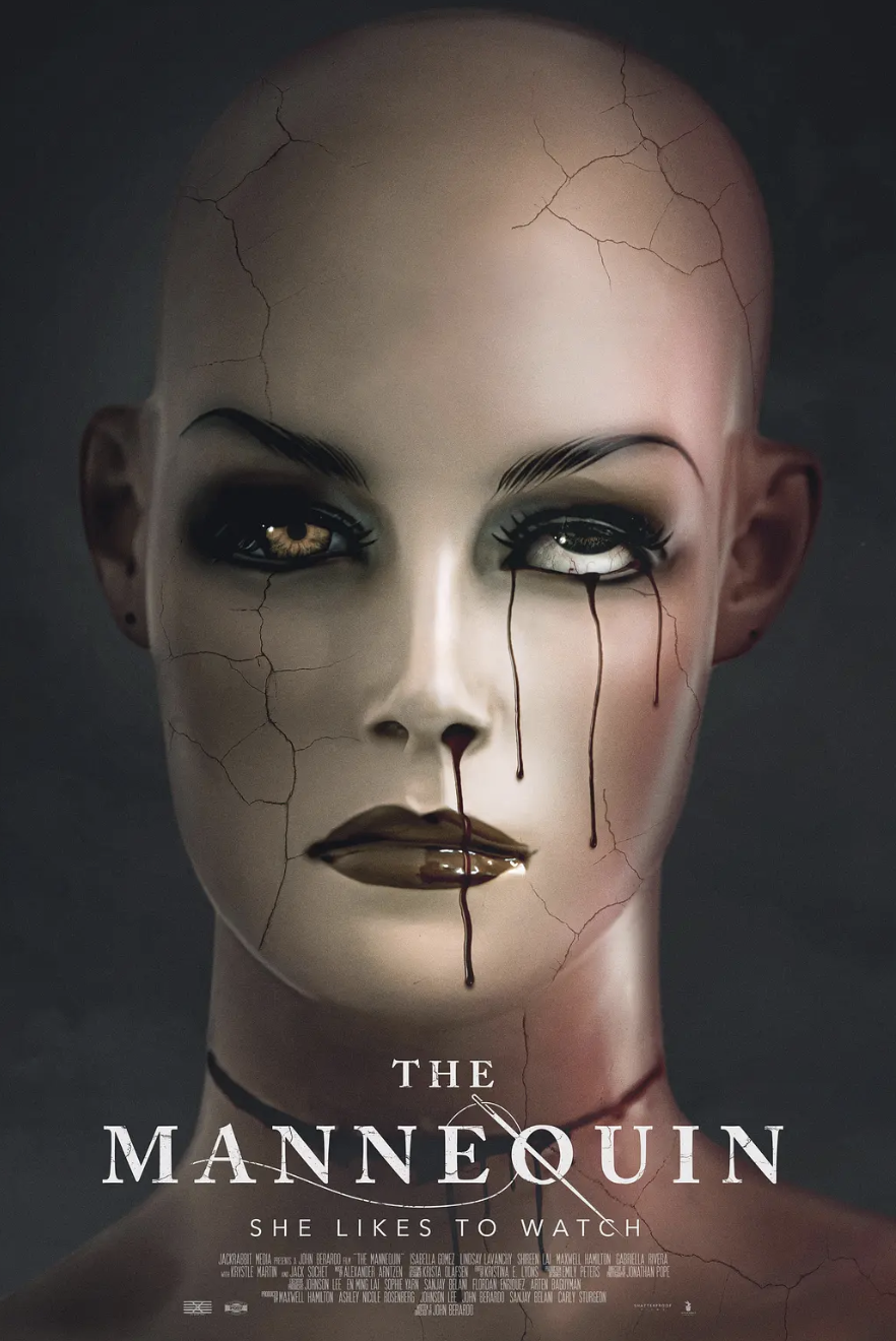 人体模型封面图