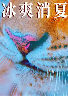 寒冰白血封面图