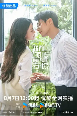 我在顶峰等你封面图