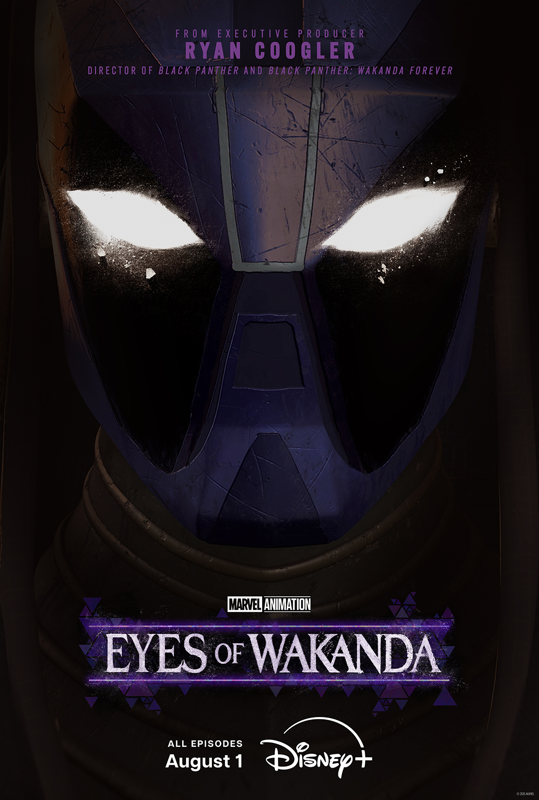 瓦坎达之眼封面图