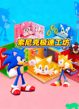 索尼克极速工坊封面图