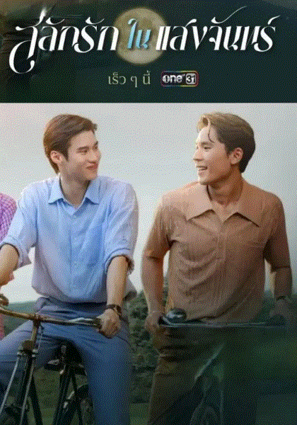 月光挚情封面图