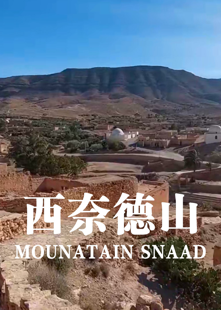 西奈德山封面图