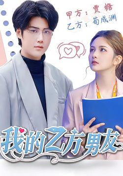 我的乙方男友封面图