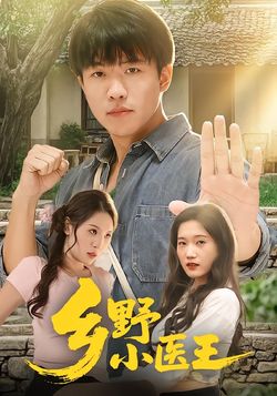 乡野小医王封面图