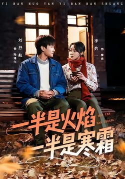 一半是火焰一半是寒霜封面图