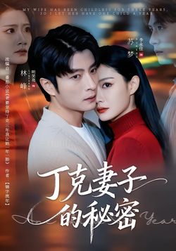 丁克妻子的秘密封面图