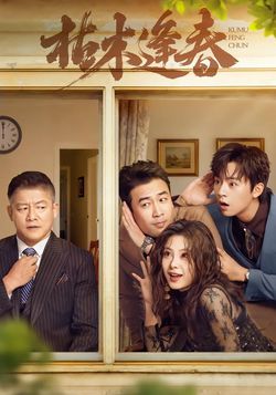 枯木逢春封面图