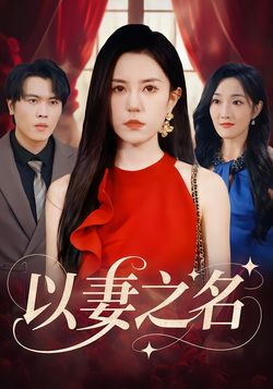 以妻之名封面图