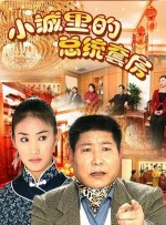 小城里的总统套房