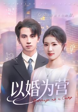 以婚为营封面图